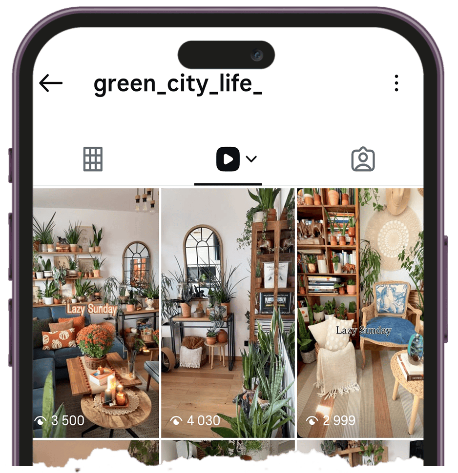 просмотрщик Instagram Reels