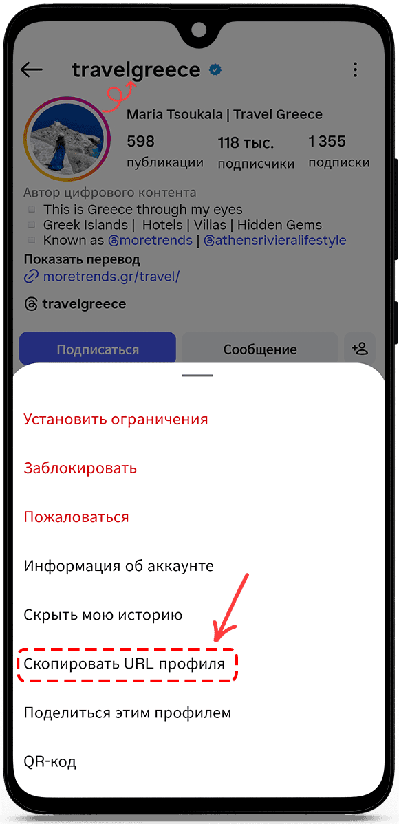 скопируйте URL-адрес профиля или имя пользователя.