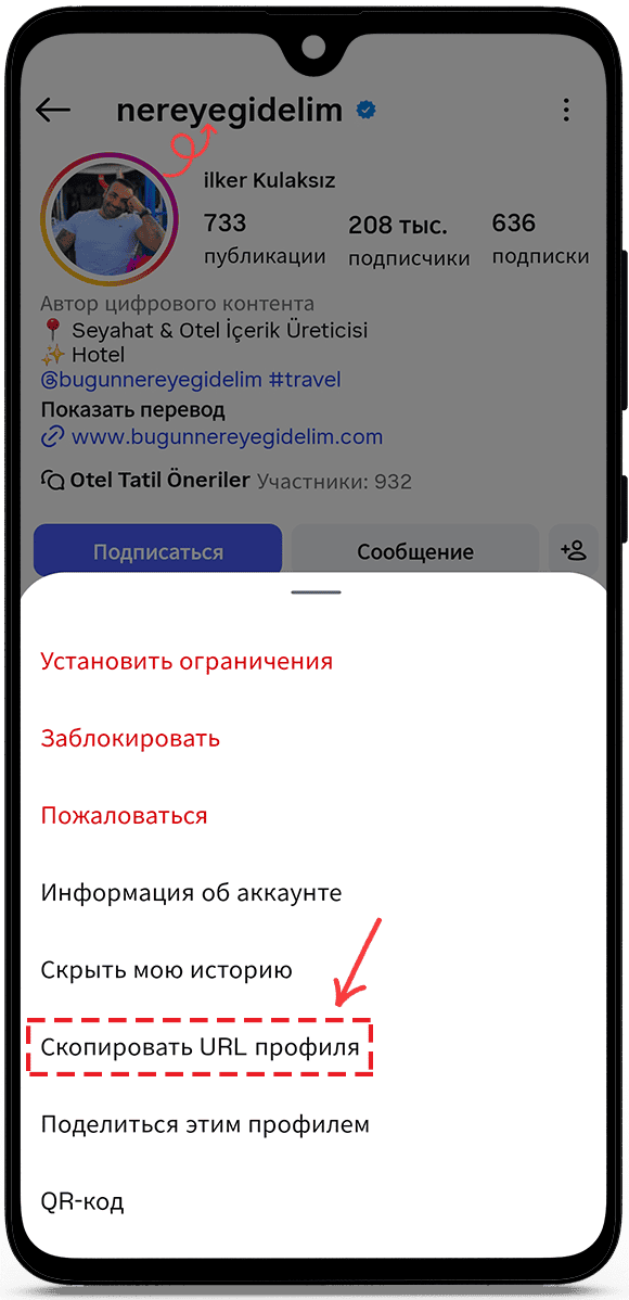 скопируйте URL-адрес профиля или имя пользователя.