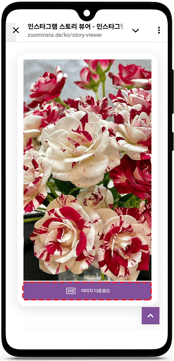 인스타그램 스토리를 익명으로 보기