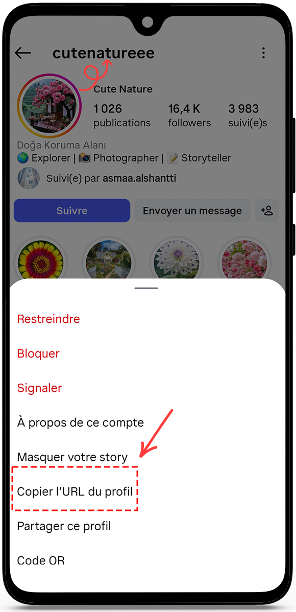 copy the profile URL or username