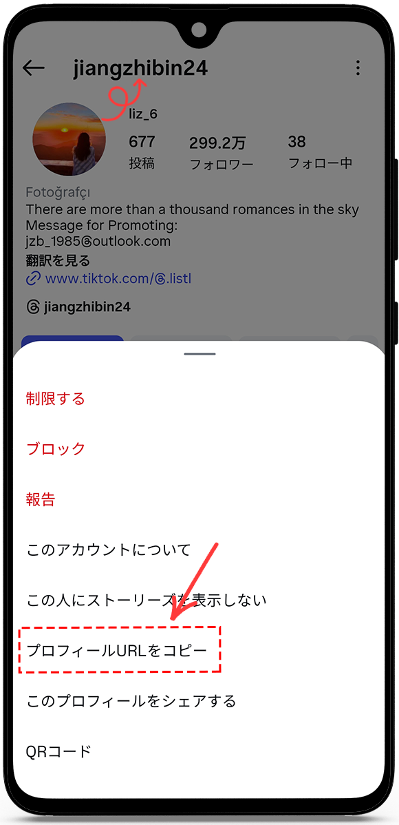 プロフィールURLまたはユーザー名をコピーします