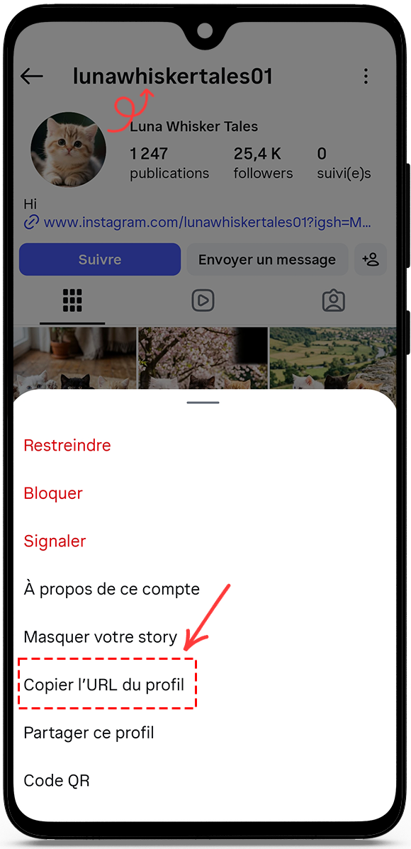 copy the profile URL or username