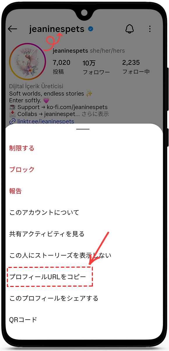 プロフィールURLまたはユーザー名をコピーします