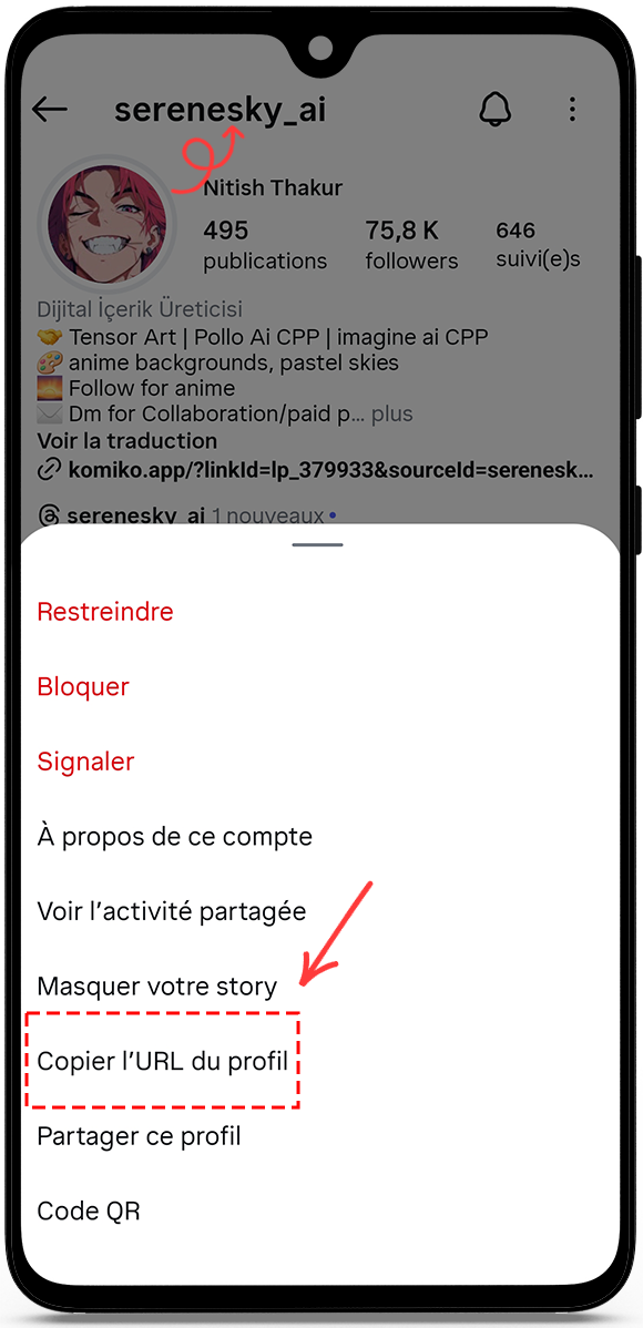 copy the profile URL or username
