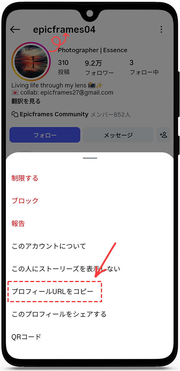 copy the profile URL or username