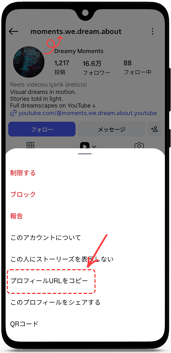 プロフィールURLまたはユーザー名をコピーします