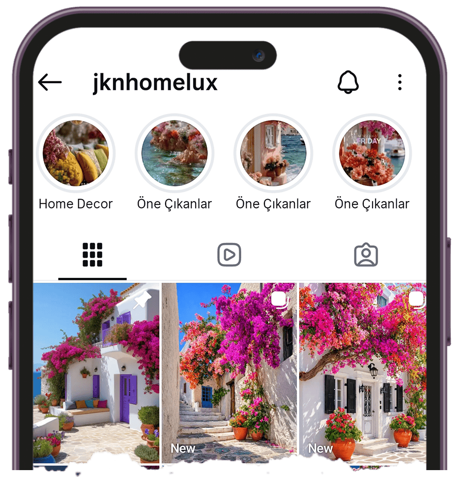 인스타그램 하이라이트 뷰어